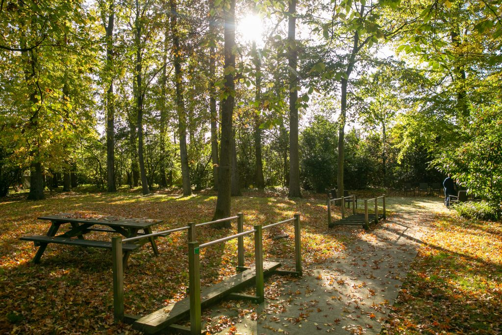 Parc avec parcours de marche